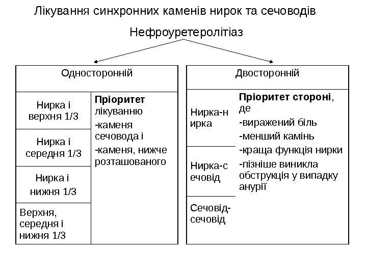   Лікування синхронних каменів нирок та сечоводів Односторонній Нирка і верхня 1/3 Пріоритет